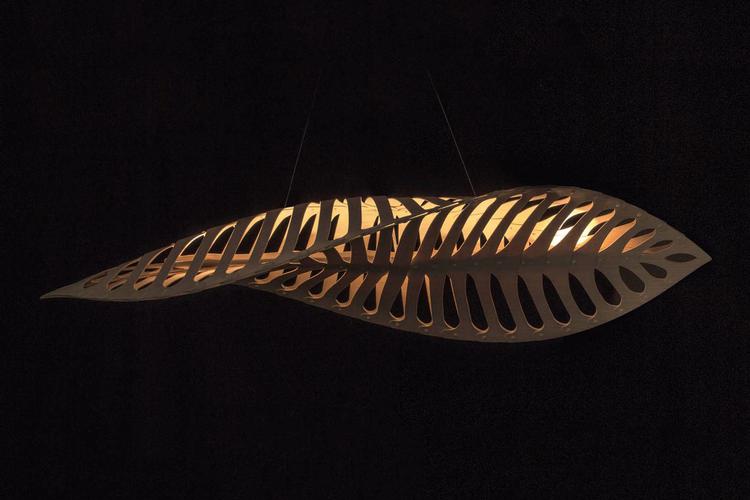 navicula_2
