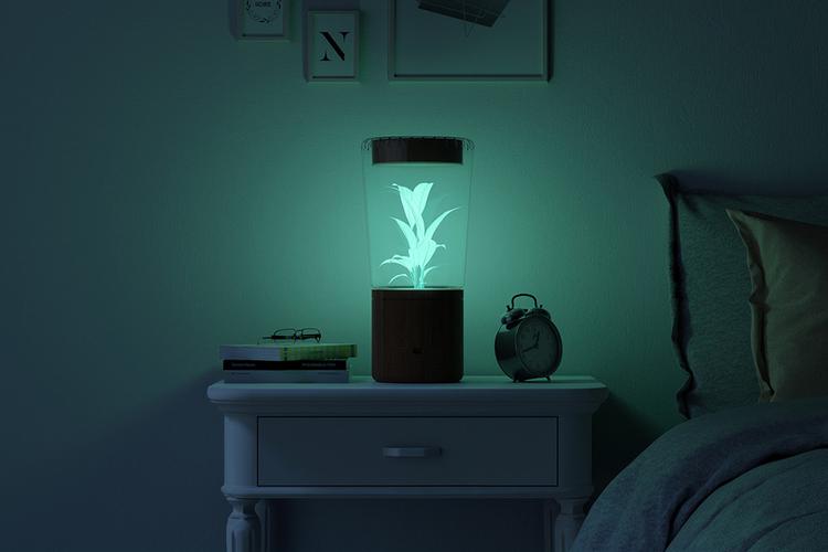 lume_00