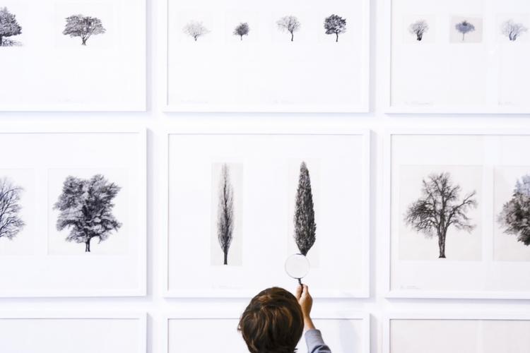 Exhibition view - Drawings, china on transparent film. For the book L'Architettura degli Alberi - C. Leonardi, F. Stagi, 1982 - Ph. Francesco Boni 2017